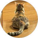 楠木真斗 楠木真斗